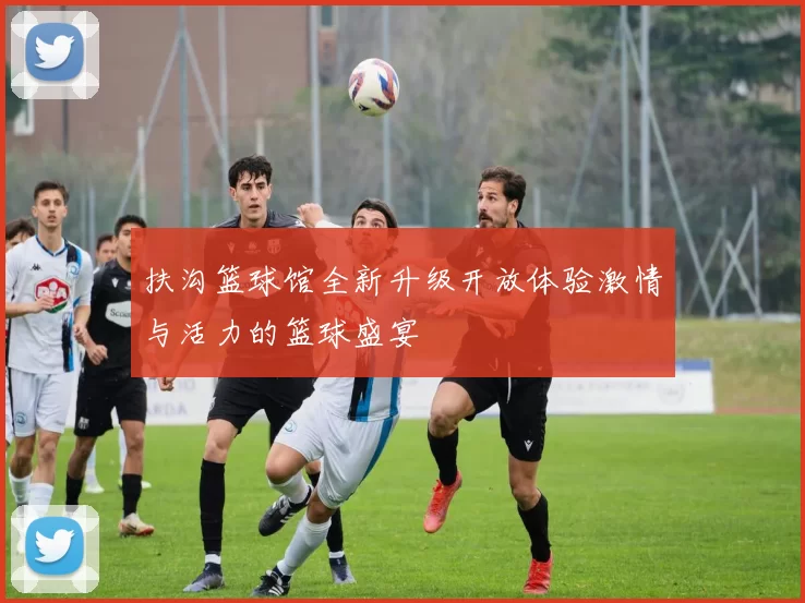 扶沟篮球馆全新升级开放体验激情与活力的篮球盛宴