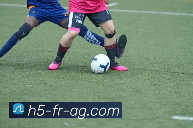 真人平台服务体系